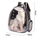 Sakaia´s Tierrucksack Rundumblick