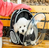 Sakaia´s Tierrucksack Rundumblick