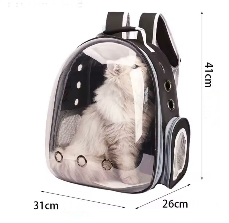 Sakaia´s Tierrucksack Rundumblick