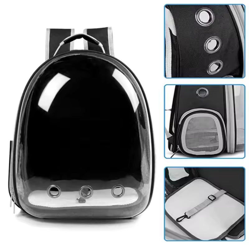 Sakaia´s Tierrucksack Rundumblick