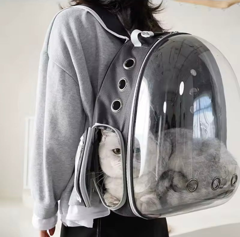 Sakaia´s Tierrucksack Rundumblick