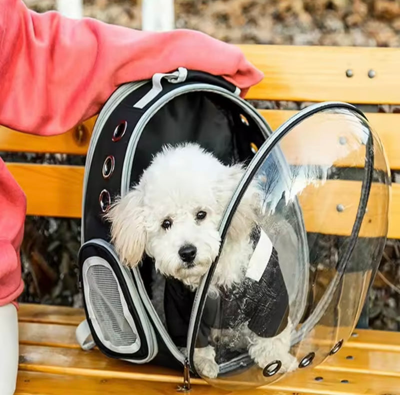 Sakaia´s Tierrucksack Rundumblick